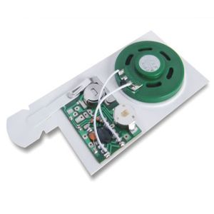 Custom MTP programmable Recordable Sound Module applied to the gift boxes