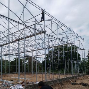 Single Layer Greenhouse Hydroponics System Wrought Iron Greenhouse With Film