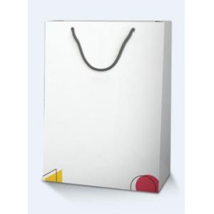 Embossed Printing Paper Bag 250gsm Printed Paper Carrier Bags