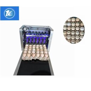 Clear Pattern Eggs Inkjet Batch Coding Machine With ABC Standard English Font