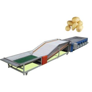 Peach Fruit Grading Machine