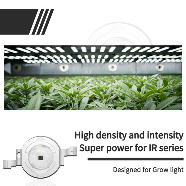 High Power 2W Chip IR LED Diode for Therapy Lamp 480nm 590nm 630nm 660nm 740nm