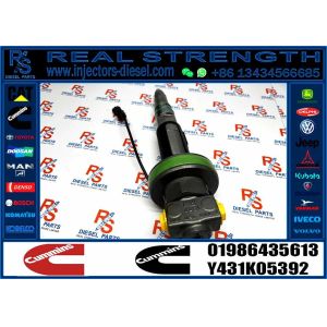 China Common Rail Fuel Injector 01986435613 F00BJ00002 Fuel Injector For QSK50 QSK60 K19 KTA19 QSK19 Engine on sale