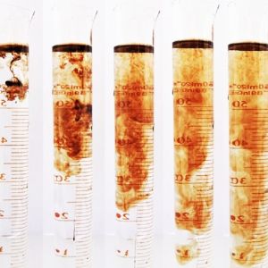 Organic Soil Conditioner Fertilizer Microbial Fermentation Fertilizer