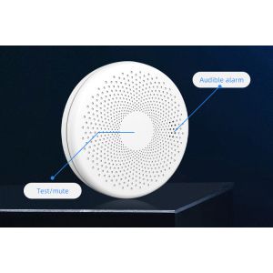 Independence Wireless Fire Smoke And Carbon Monoxide Detector Alarm 2 In 1