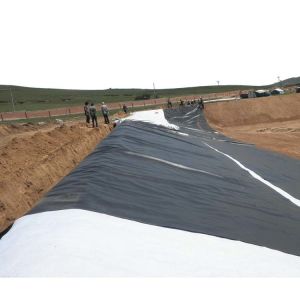 Cheap 1m-10m Width Double Smooth Surface Fishpond Flexible HDPE Geomembrane for Aquaculture for sale