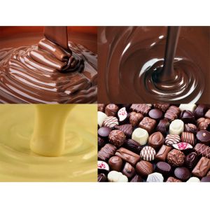 500L Electric heating pipes double jacketed chocolate melting tank