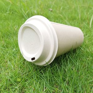 China Refrigerator Safe Biodegradable 80mm 90mm Bagasse Coffee Cups And Lids on sale