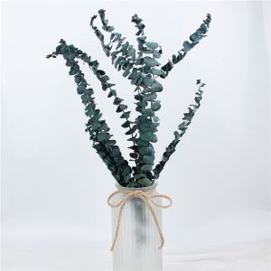 Modernization Style Preserved Foliage Green Environmental Protection