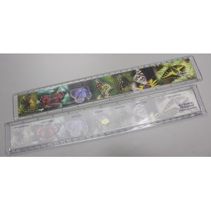 Cheap Acrylic ruler with picture for sale