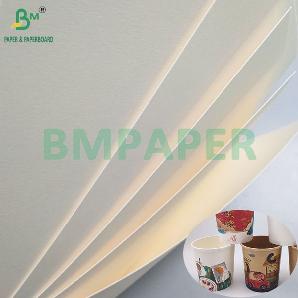 260gsm+18PE Matte Coated Food Oilproof Paper For Making Disposable Paper Cups And Bowls