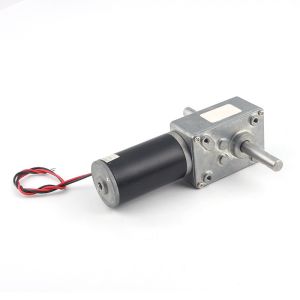 Faradyi Custom 58mm Worm Gear Box Reverse Self Lock 12v Dc Worm Gear Motor 5nm