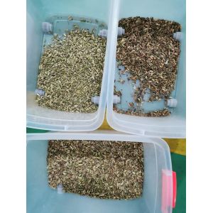 Optical cardamom colour sorting machine Multifunction