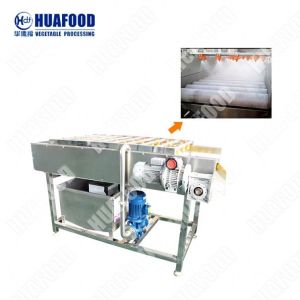 Fruit And Vegetable Processing Machinery Leafy Vegetable Cleaning Machine Tomato