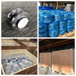 Pn16pn10 Carbon Steel Flange Compensator Rubber Expansion Joint with Epoxy