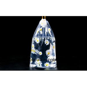 0.06mm Transparent LDPE Plastic Drawstring Bags