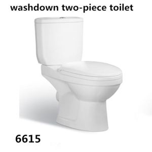 Bathroom Floor Mounted S-trap 300mm Roughing-in Washdown Two-piece Toilet