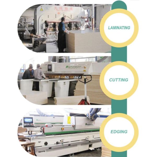 Indoor Furniture Waterproof Mdf Particle Board Shoe Rack Cabinet To Living Room