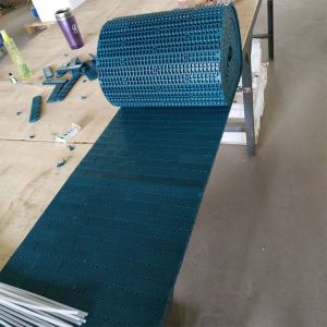Flexible Plastic Conveyor System Chain for Beverage Bottle or Meat Can