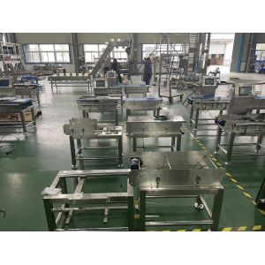 Automatic Conveyor Check Weigher Machine 50p/M 220 300 400 500 Width