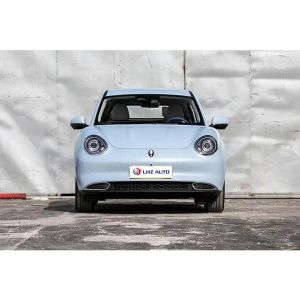 2024 Euler Motors 5-Door 5-Seat Electric SUV with R19 Tire Size and LED Daytime