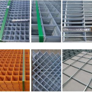 2x2 Galvanized Welded Wire Mesh Panel for Animal Cages