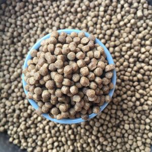 200-260kg/h Double Screw Fish Feed Extruder Fish Feed Pellet Machine