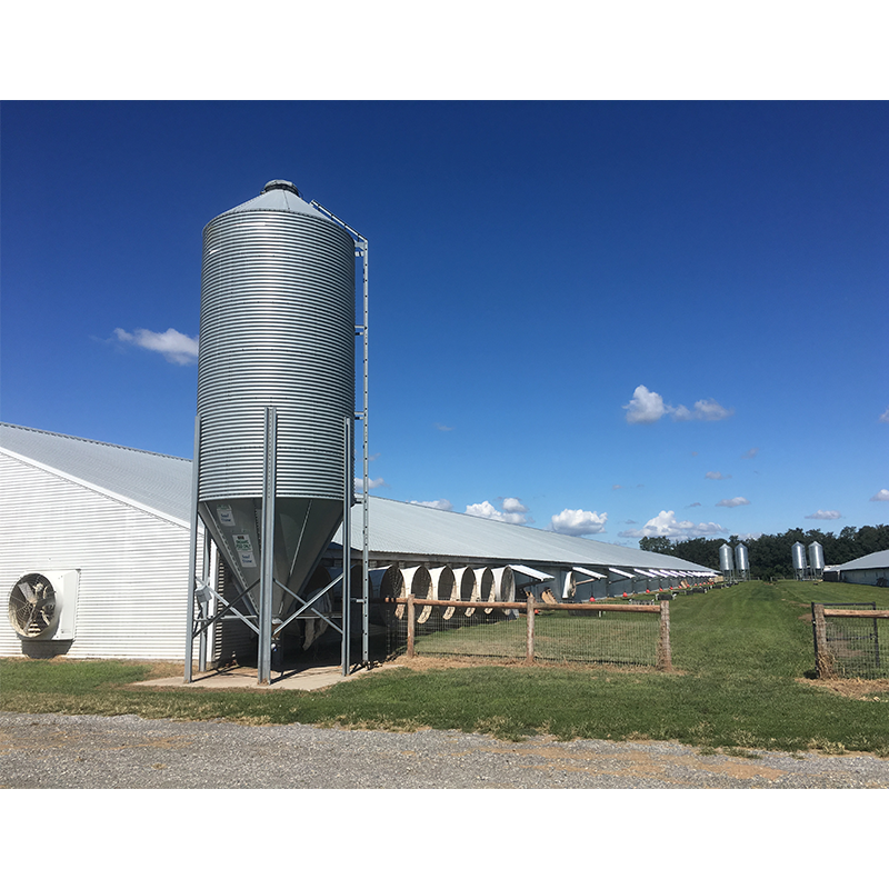 Modern Lightweight Metal Frame Building Poultry Farm Structure