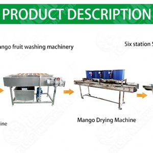 Fruits Vegetable Cherry Processing Equipment Peeler And Washer Machine
