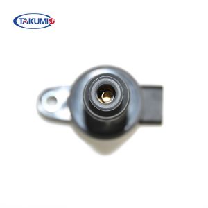 TEX-20-037 High Temperature Resistant Materials Automotive Ignition Coil