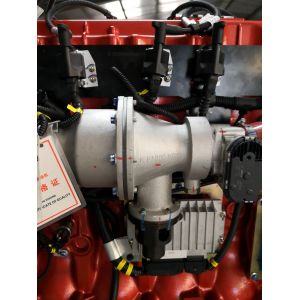 300KW Natural Gas Biogas Generator Set with 50HZ/60HZ Frequency and 180A Rated