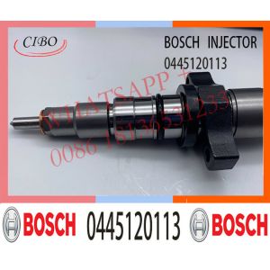 0445120113 Nozzle DSLA143P1058 Diesel Common Rail Fuel Injector 0986435503