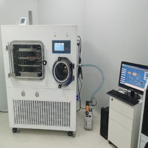 LGJ-100F Biological Lab Freeze Dryer LCD Electric Defrost Lyophilizer Machine