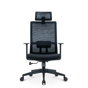 Stylish Changeable Mesh Back Swivel Adjustable Task Ergonomic Revolving Office