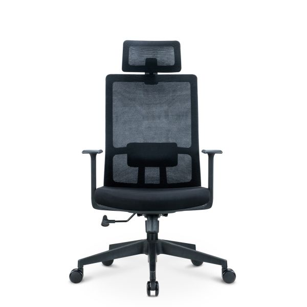 Stylish Changeable Mesh Back Swivel Adjustable Task Ergonomic Revolving Office