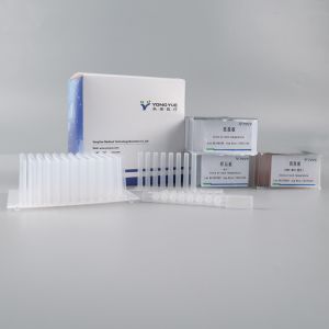 Cheap DNA RNA Extraction Column Kit Nucleic Acid Extraction And Purification for sale