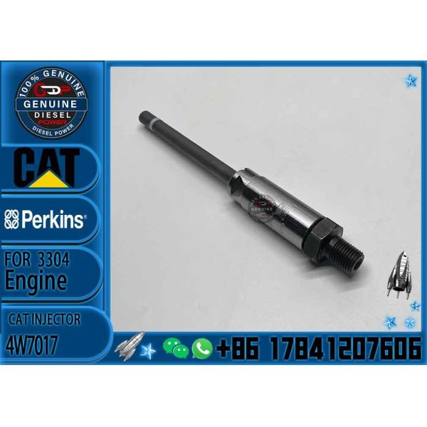 Quality fuel injectors 3406 injector 4w-7018 0R-3591 0R-3423 0R-8785  4w7017 for caterpillar 3406 injector wholesale