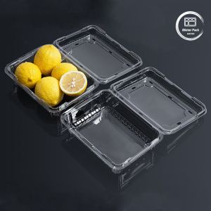 Clear Plastic Clamshell Food Containers for Fruit Vegetable and Meat Packaging