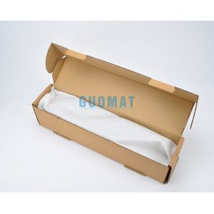 Audi Air Suspension Parts 4Z7616051D Front Left/Right A6 C5 Air Shock Absorber