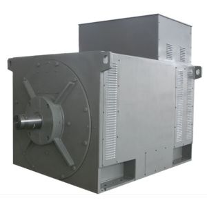 6300V High Voltage Brushless AC Generator 2000KW 6.3KV