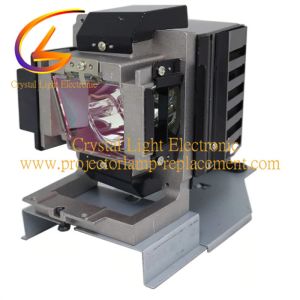 Vivitek DW3321 DX3350 DW3320 Projector Lamp 5811119760-SVV RLC-106