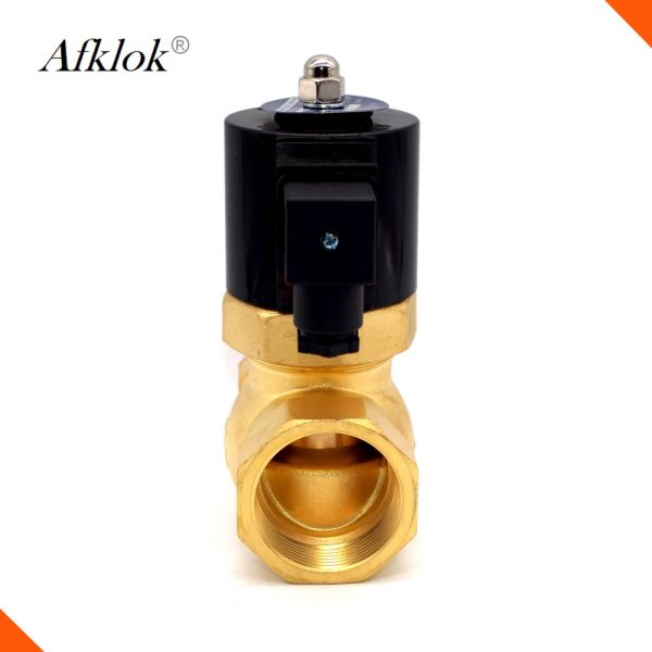 110V 220V Steam Solenoid Valve 0.2-1.6Mpa B Class Insulation Grade CE Certification