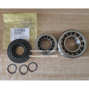 Automotive Differential Part Kit Audi Differential Repair Kit 0D2-598-078 Oil