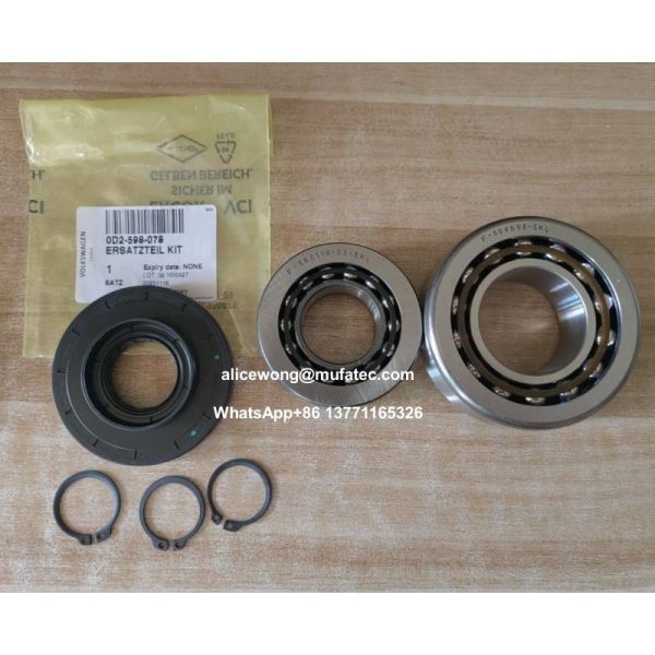 Automotive Differential Part Kit Audi Differential Repair Kit 0D2-598-078 Oil