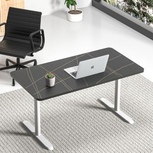 Modern Design Custom Dual Motor Standing Desk for Study SPCC Steel/Iron Frame