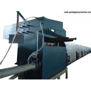 apple fruit tray processing machinery(FC-ZMW-4)