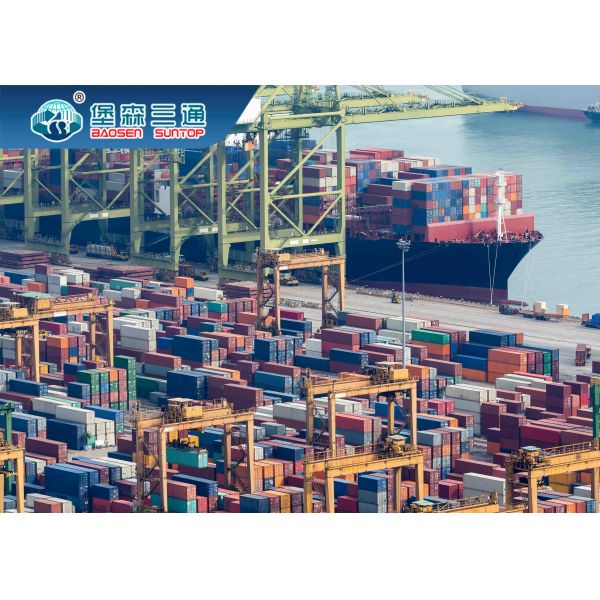 Professional Fast Shipping Agent Sea Freight Forwarding From China To South