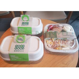 Eco Freindly Paper Plate Making Machine Semi Automatic Pulp Mold Thermoforming