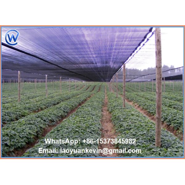 30%--90%hide shade rate sunshade net