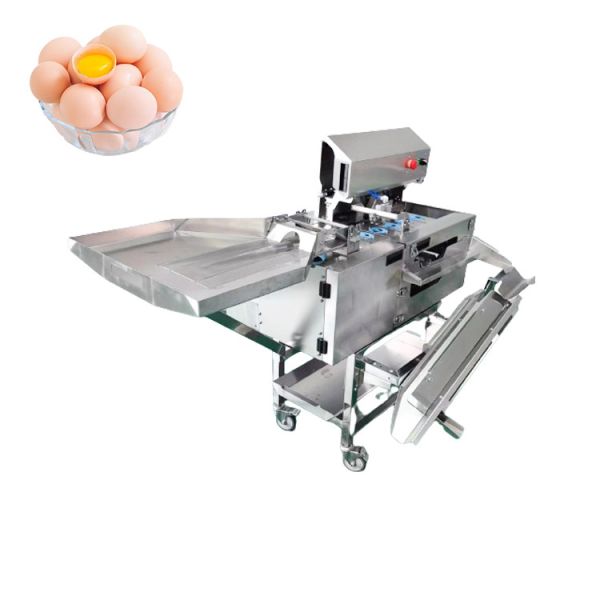 Quality Stainless Steel Egg Separator Machine  3000pcs/H White Yolk Egg Breaking And Separating Machine wholesale
